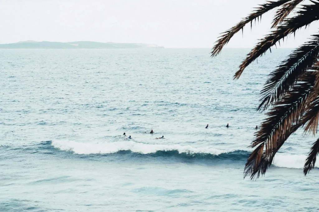 surf coaching camp.webp